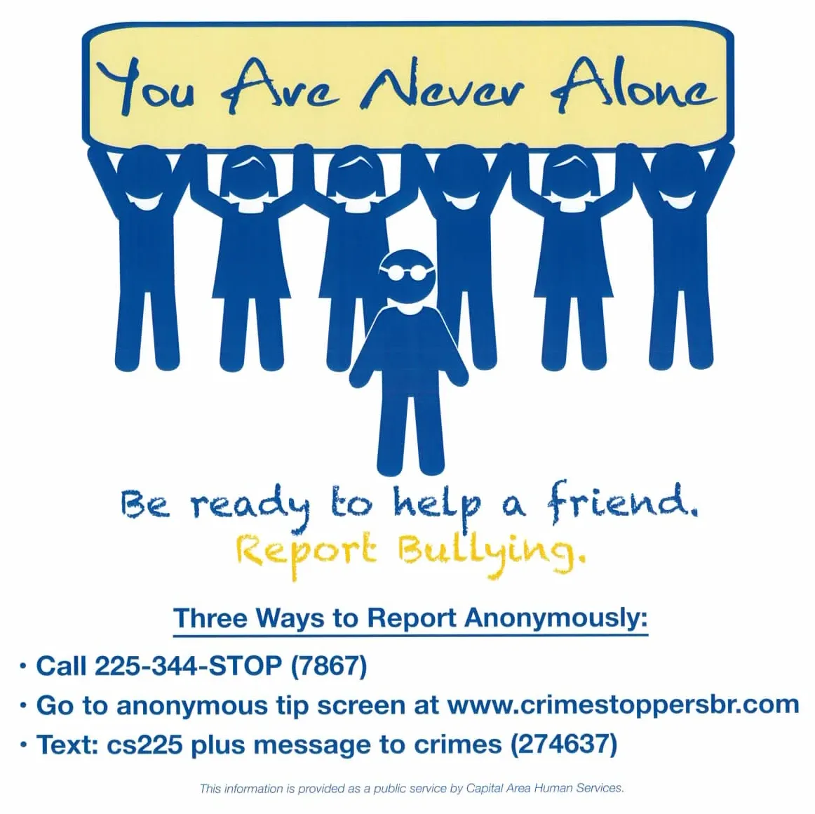 Anti-Bullying Reporting Resource