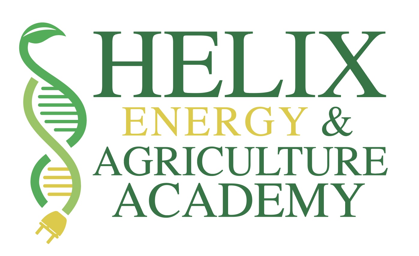 Helix Energy & Agriculture Academy logo - green text with a helix image to the left with a leaf at the top of one end of the helix and a plug at the bottom